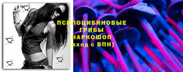 эйфоретик Аркадак