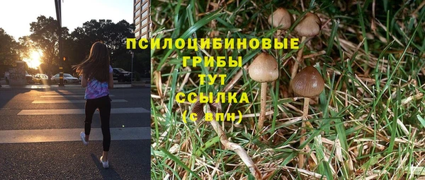 эйфоретик Аркадак