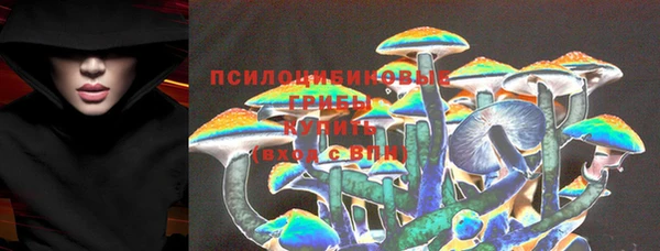 эйфоретик Аркадак