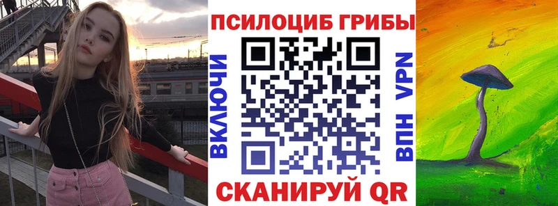 Галлюциногенные грибы Cubensis  цены   Таруса 